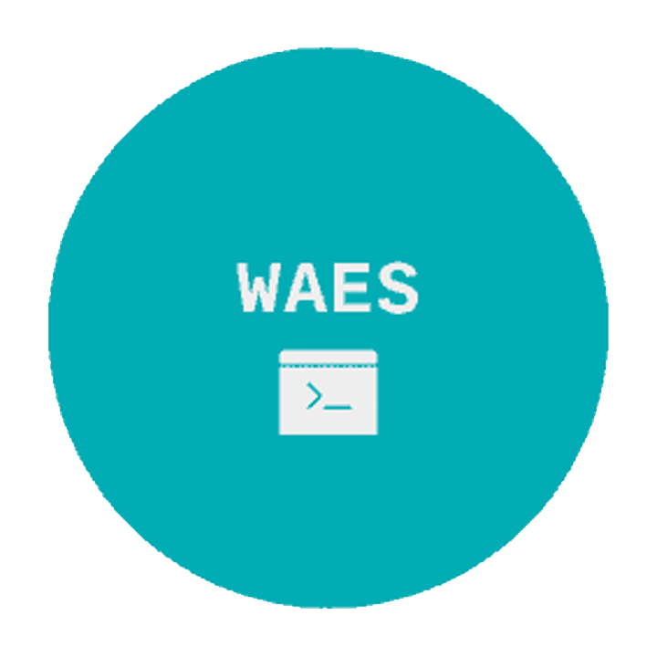 WAES - Web Auto Enum & Scanner and Dumps Files as Result