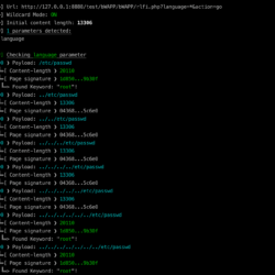 FDsploit - LFI vulnerability attack xploitlab