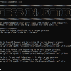 ProcessInjection - Tool To Inject Shellcode in a Target Process xploitlab