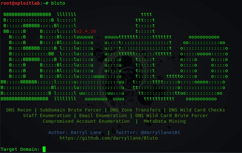 Bluto - Analysis and Information Gathering Tool