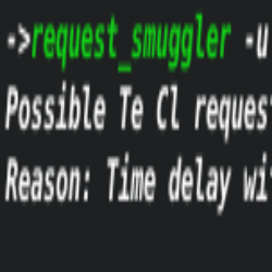 Request Smuggler - HTTP Request Smuggling Vulnerability Scanner
